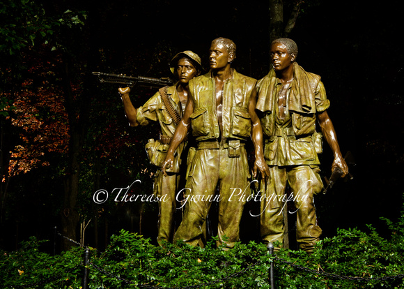 Vietnam Soldier's Memorial